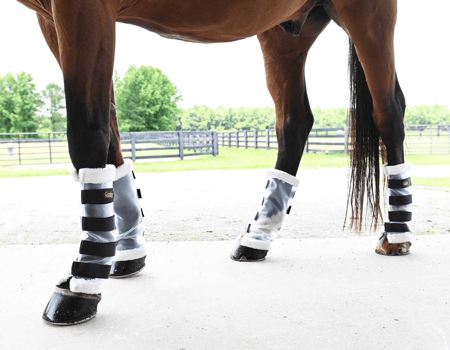 Gatsby Cool Mesh Horse Leg Wraps – Set of 4 (Breathable with Fleece Lining)